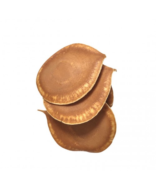 copy of Micronized Oat Flour Pandoro 800g
