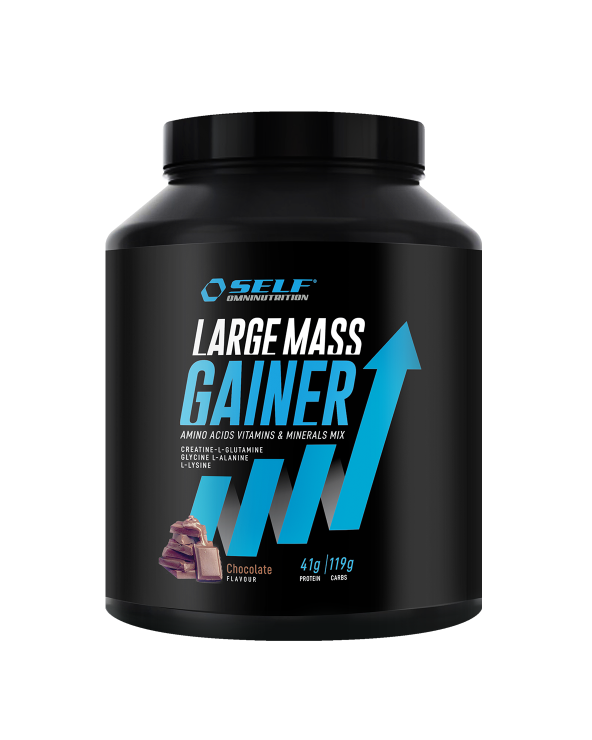 Self Large Mass Gainer 2Kg Extasy